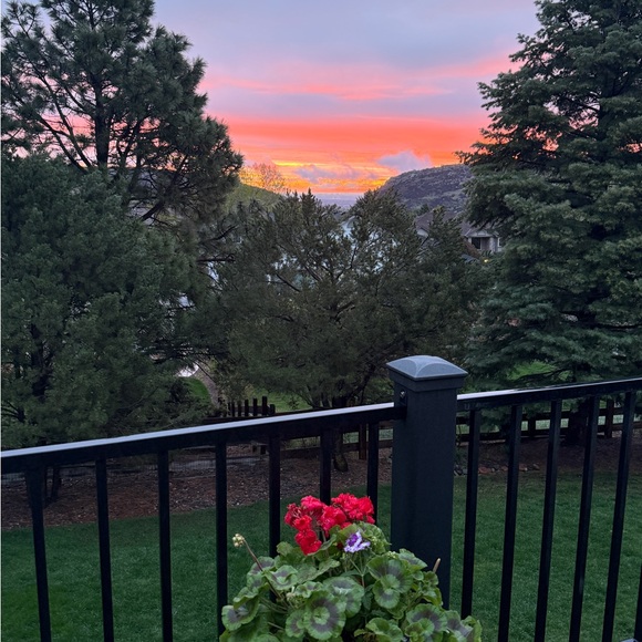 denvercam